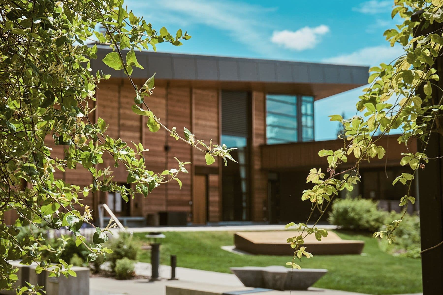 A cedar-clad commercial building with a deep flat roof overhang and tall glazing, set behind a landscaped plaza.